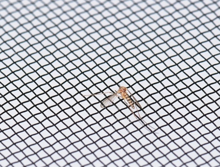 防蚊双边铝合金窗纱网